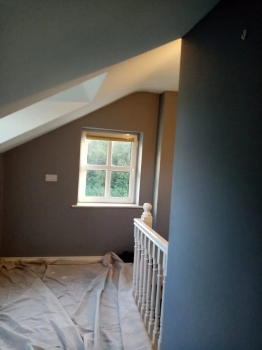 Painting service louth Meath Dublin - Image 3
