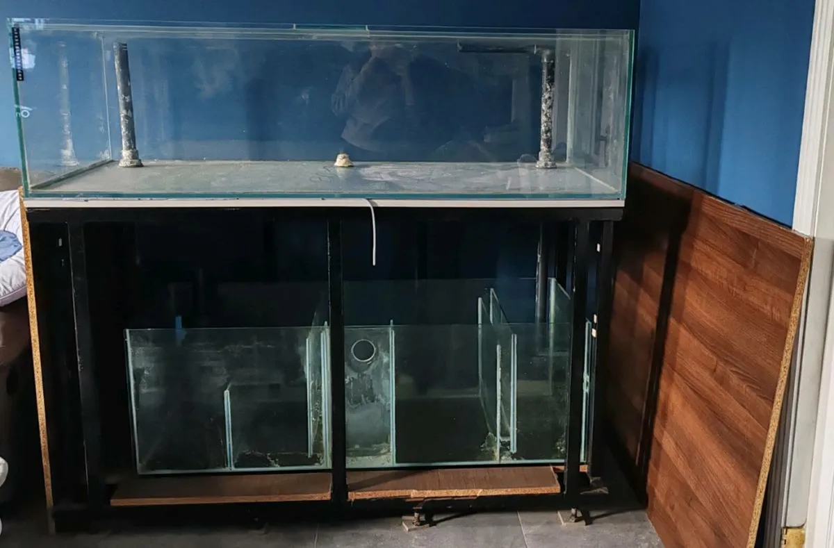 Tank, Stand and sump - Image 3
