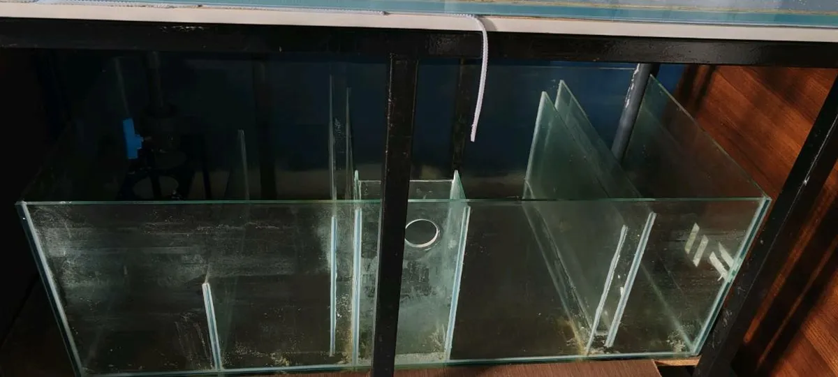 Tank, Stand and sump - Image 4