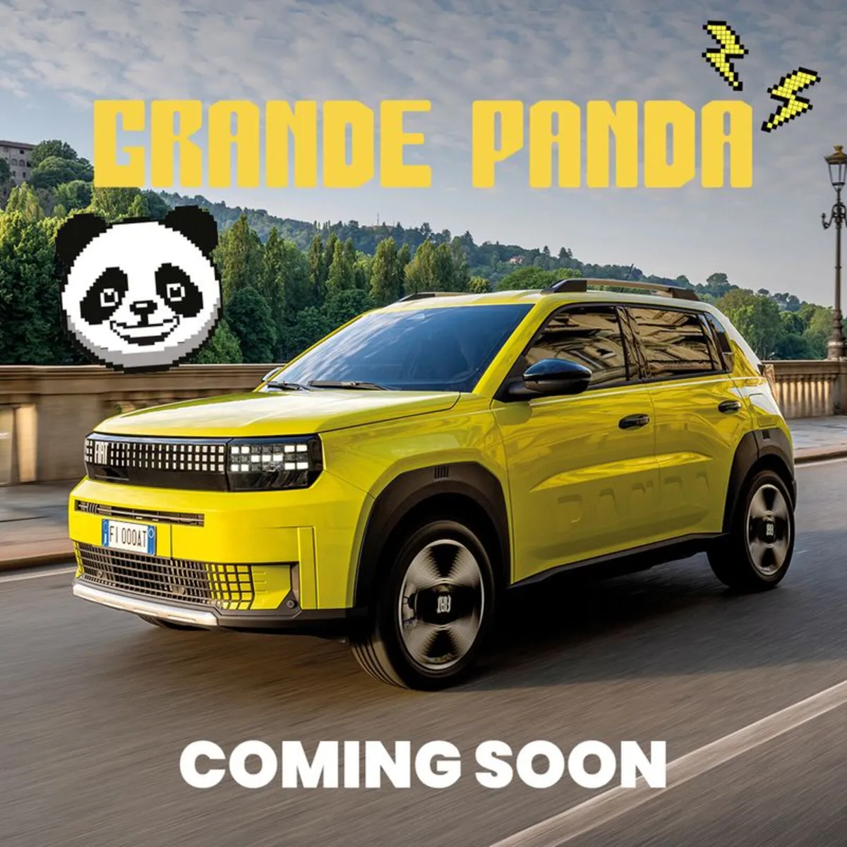 * ORDER YOUR 261 GRANDE PANDA NOW * - Image 1