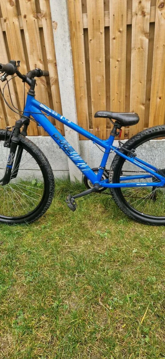 Kids apollo bike ( serviced )(delivery ) - Image 4