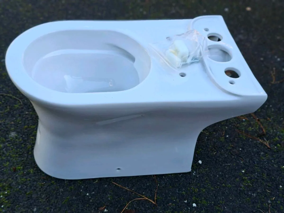 Gates and spare toilet - Image 3