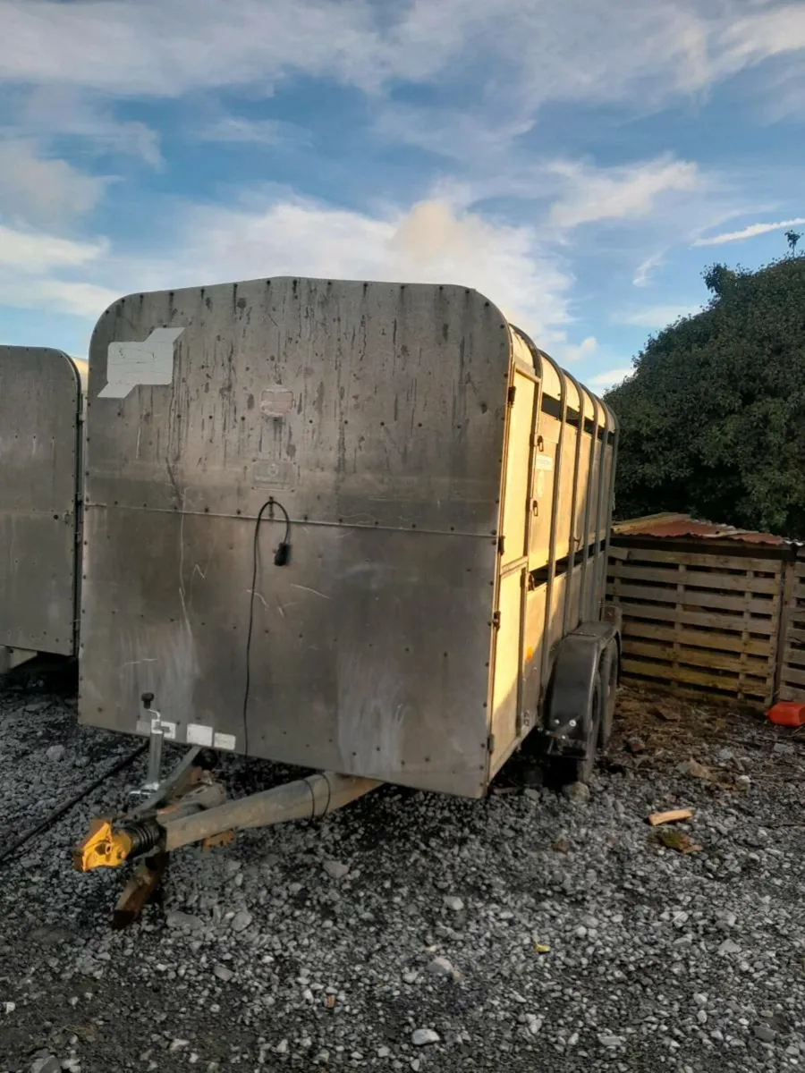 Ifor  williams 12by6 cattle trailer cal 0868782672 - Image 1