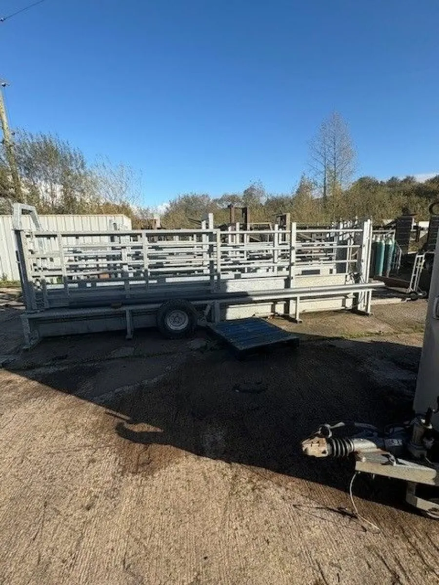 MOBILE CATTLE CRUSH ON WHEELS - Image 1