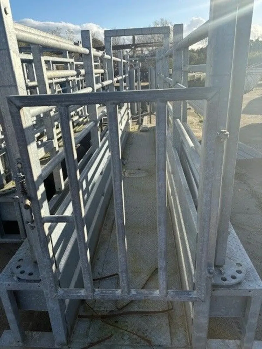 MOBILE CATTLE CRUSH ON WHEELS - Image 4