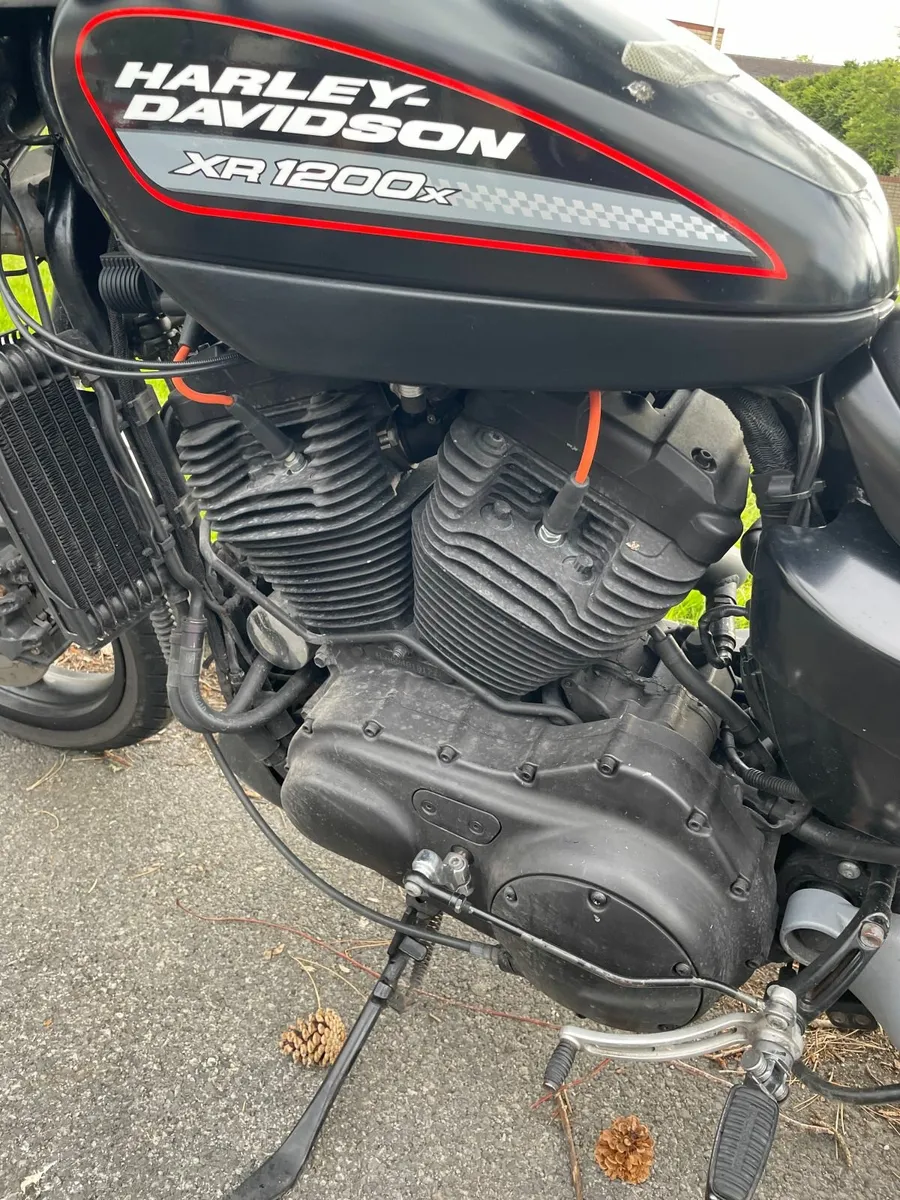 Harley Davidson Sportster XR 1200 - Image 3