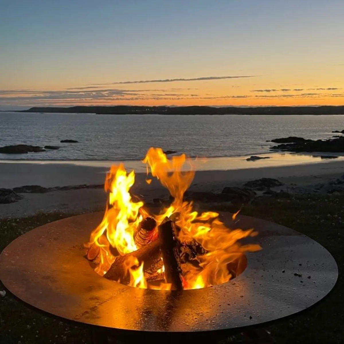 Firewood - Seasoned Hardwood Ash - Image 4
