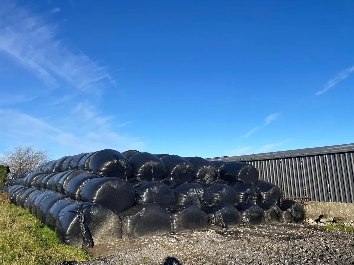 Silage bales - Image 1