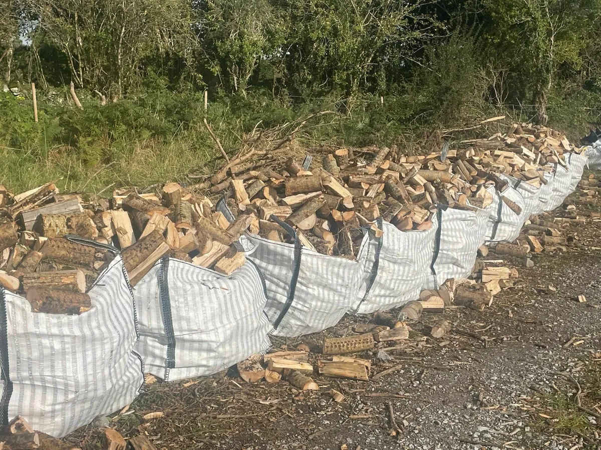 Firewood - Seasoned Hardwood Ash - Image 1