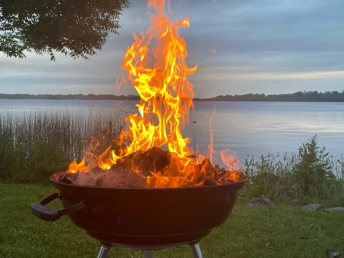 Firewood - Seasoned Hardwood Ash - Image 2