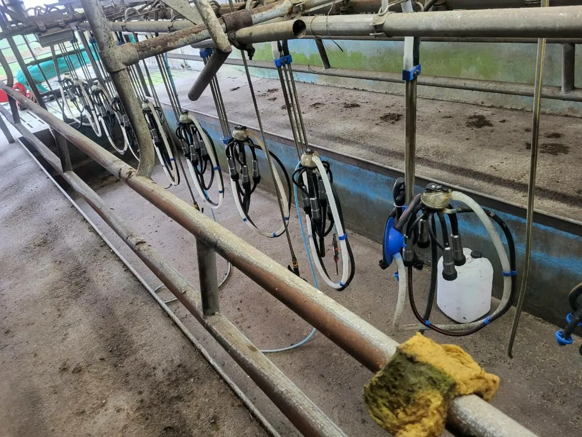 Milking parlour - Image 3