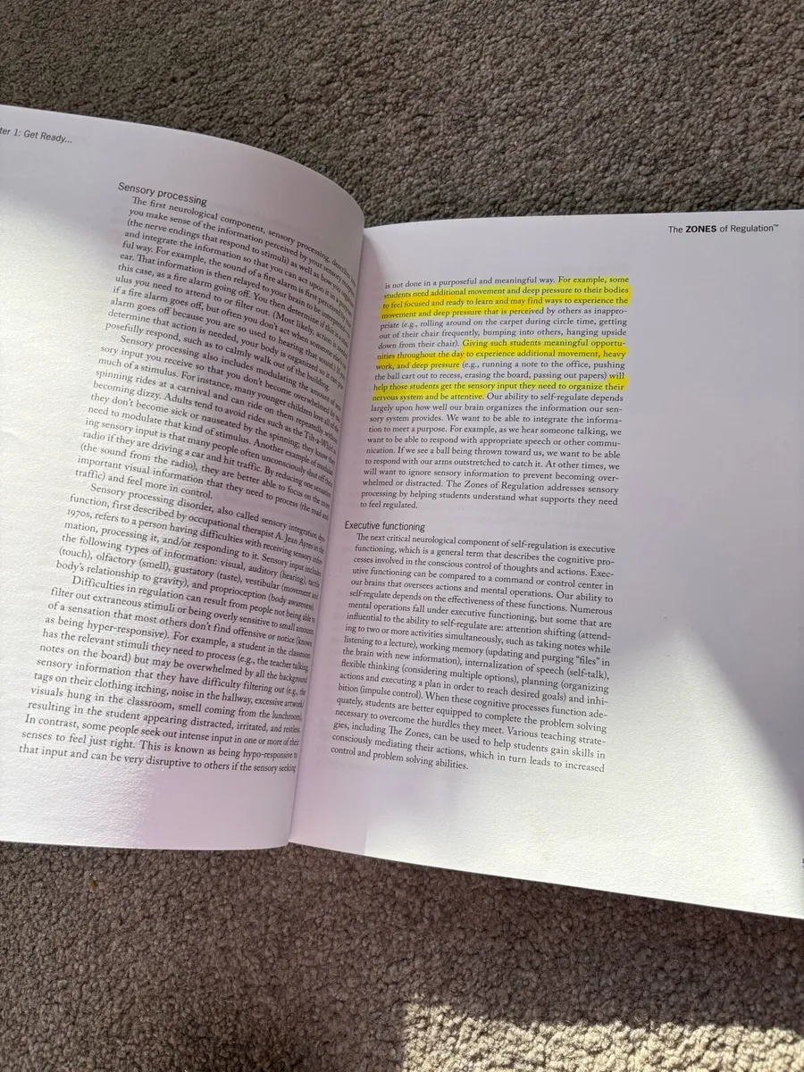 Zones of regulation book - Image 2