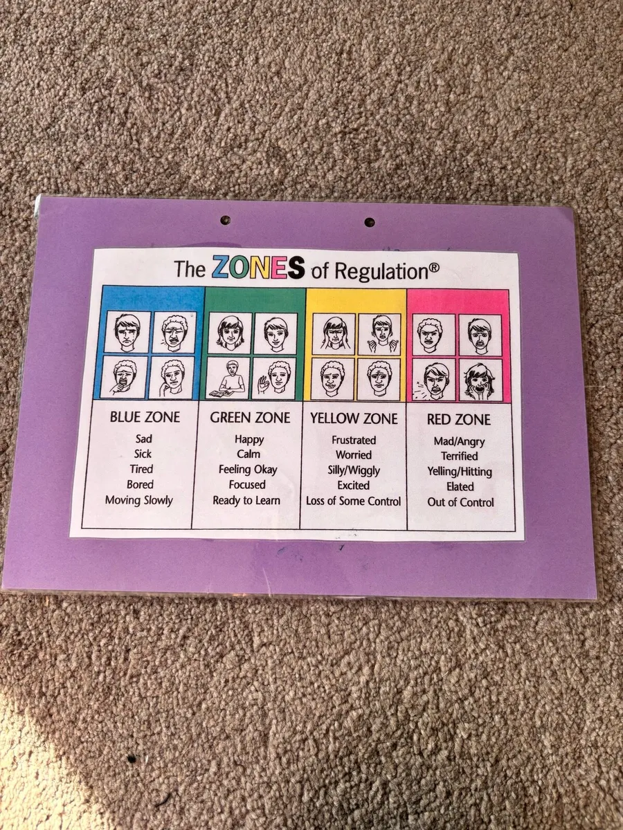 Zones of regulation book - Image 4