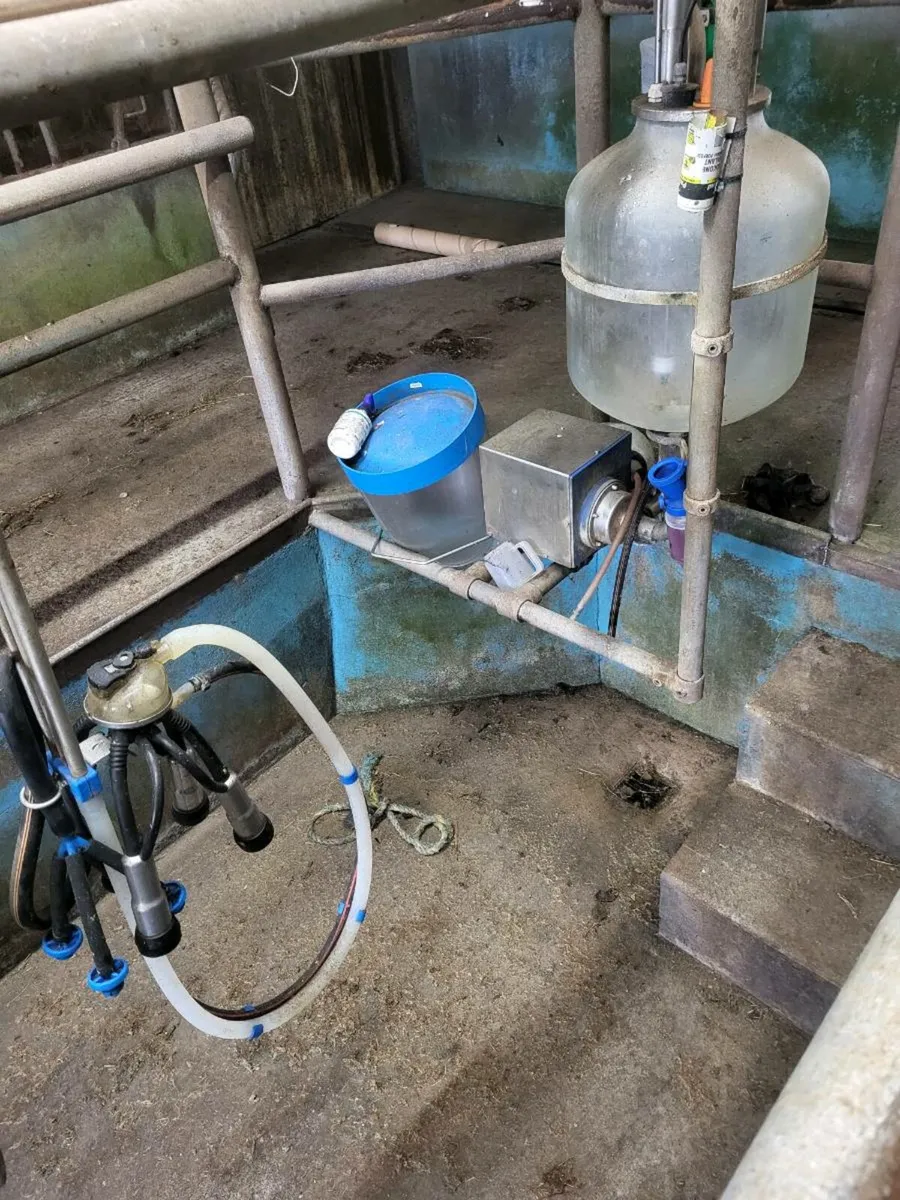 Milking parlour - Image 4