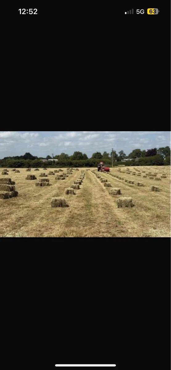 Hay Square Bales - Image 1
