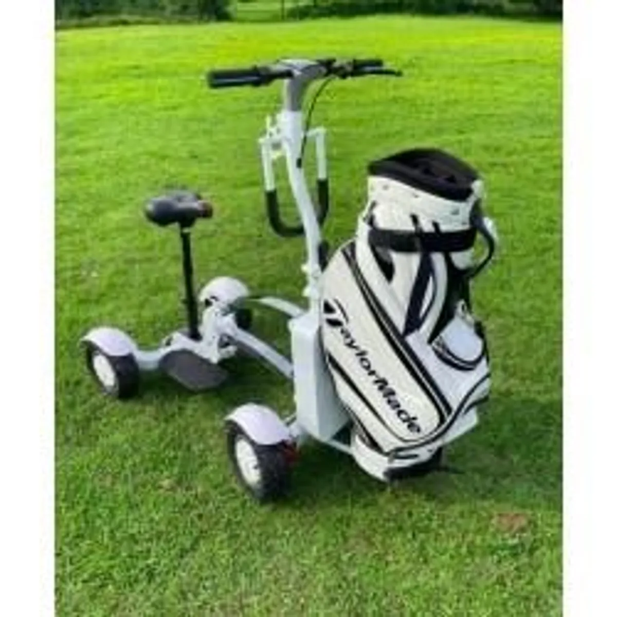 ESWING ES-M12-2 Electric Golf Cart in a Amazin price - Image 1