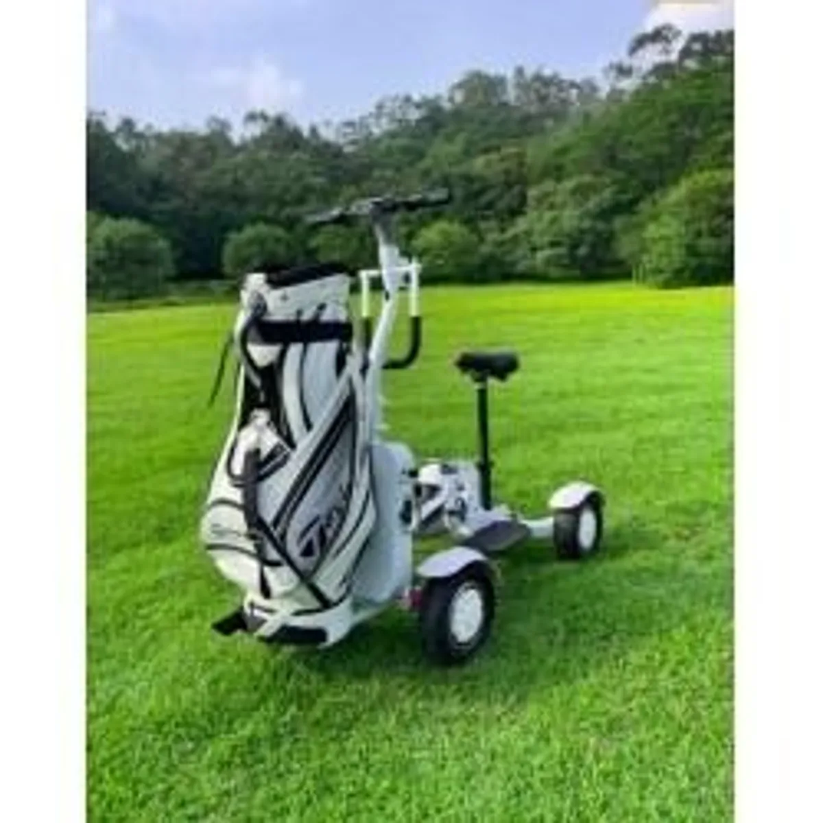 ESWING ES-M12-2 Electric Golf Cart in a Amazin price - Image 2