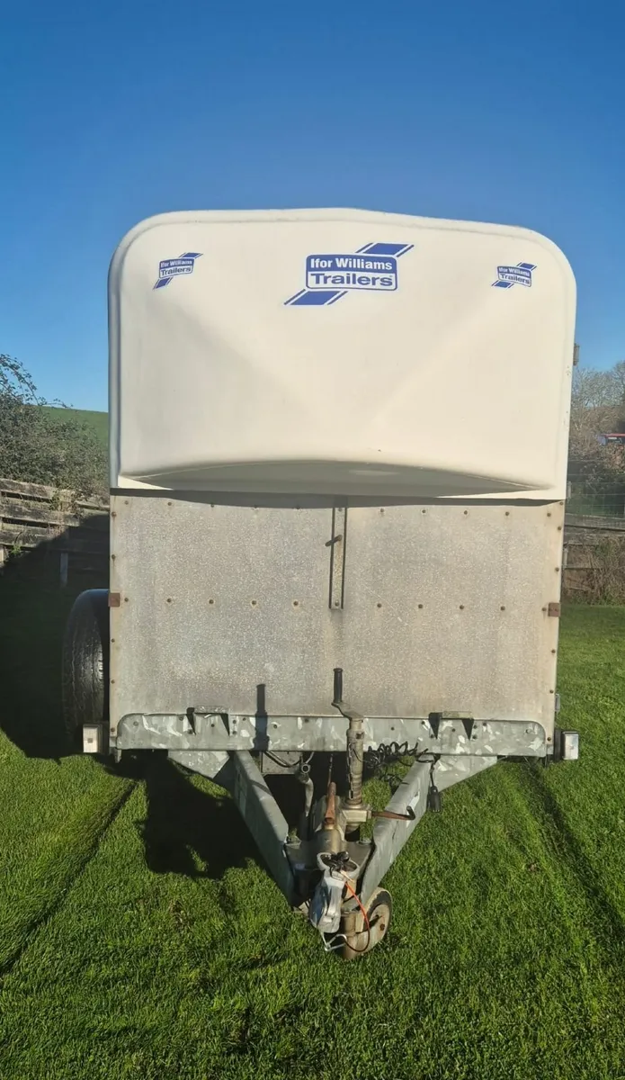 Ifor Williams 10 x 5  cattle trailer - Image 2
