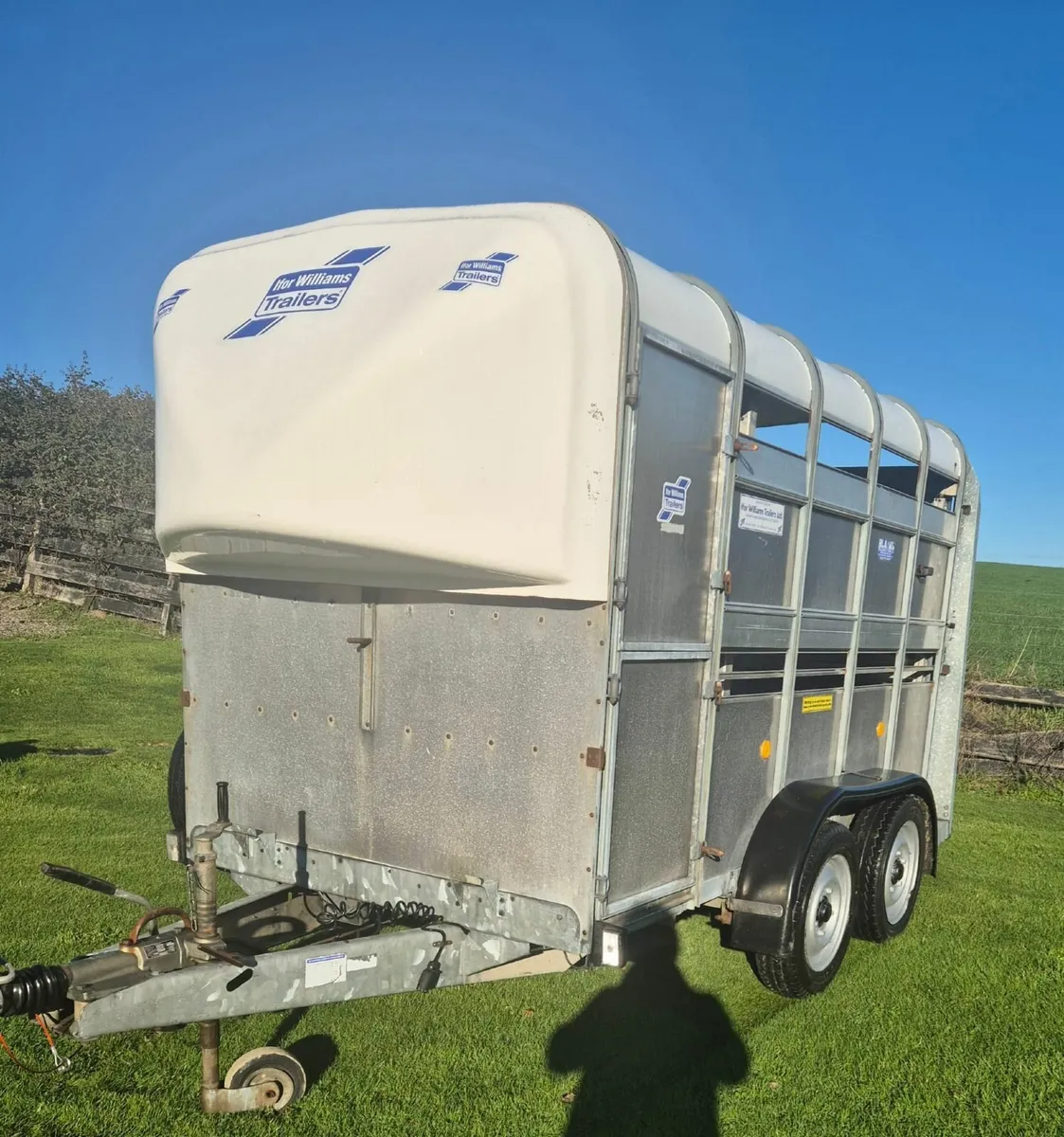 Ifor Williams 10 x 5  cattle trailer - Image 3