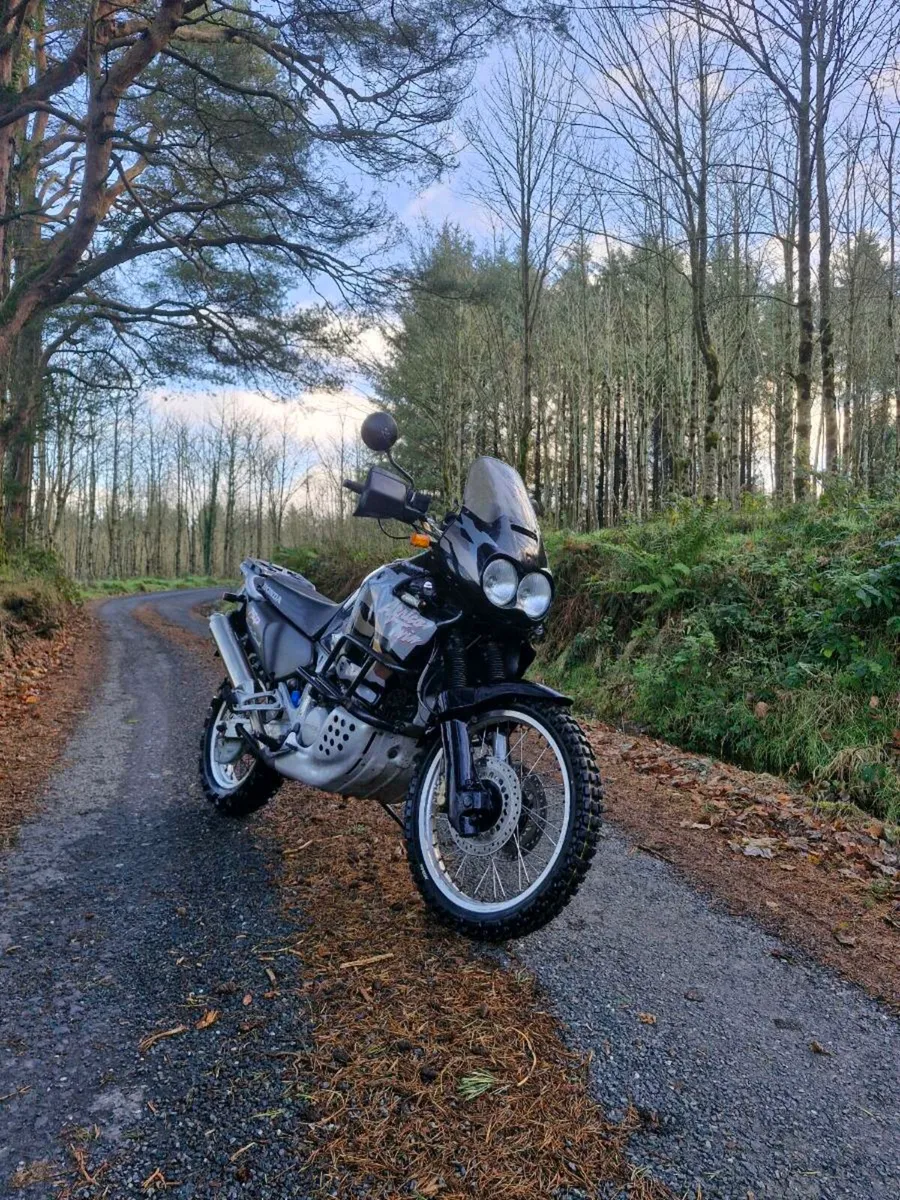 Africa twin. - Image 2