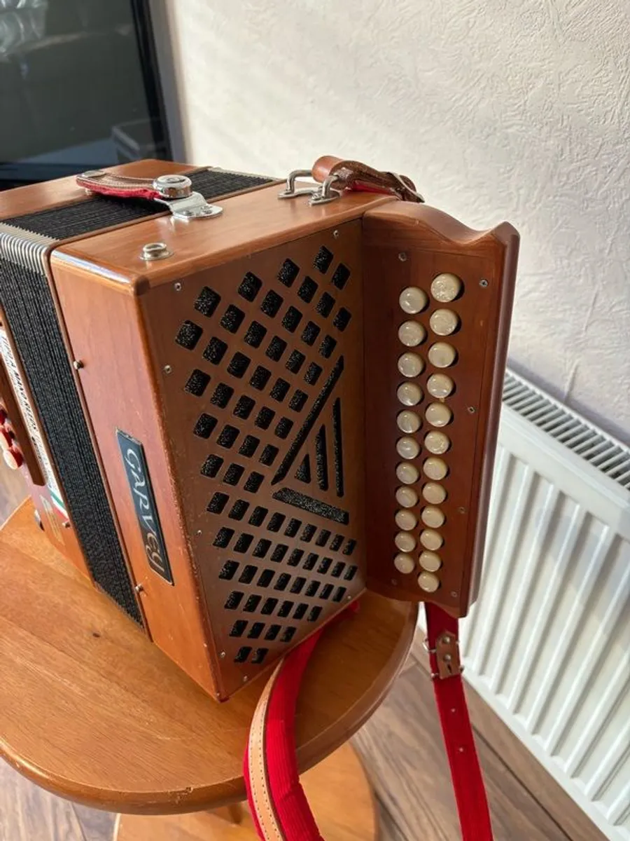 Garvey Tam 2 Accordion - Image 2