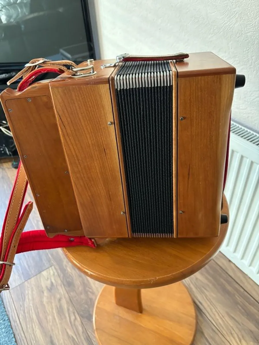 Garvey Tam 2 Accordion - Image 3