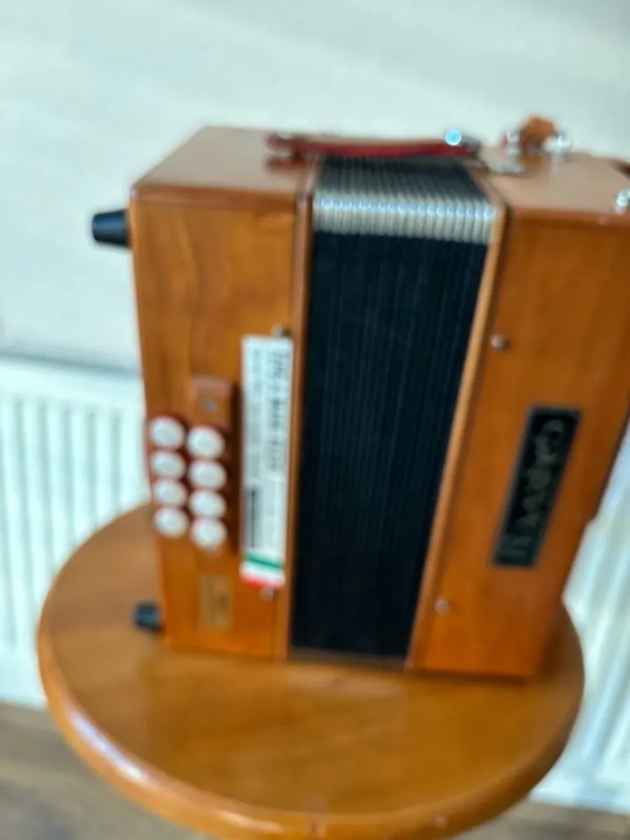 Garvey Tam 2 Accordion - Image 4