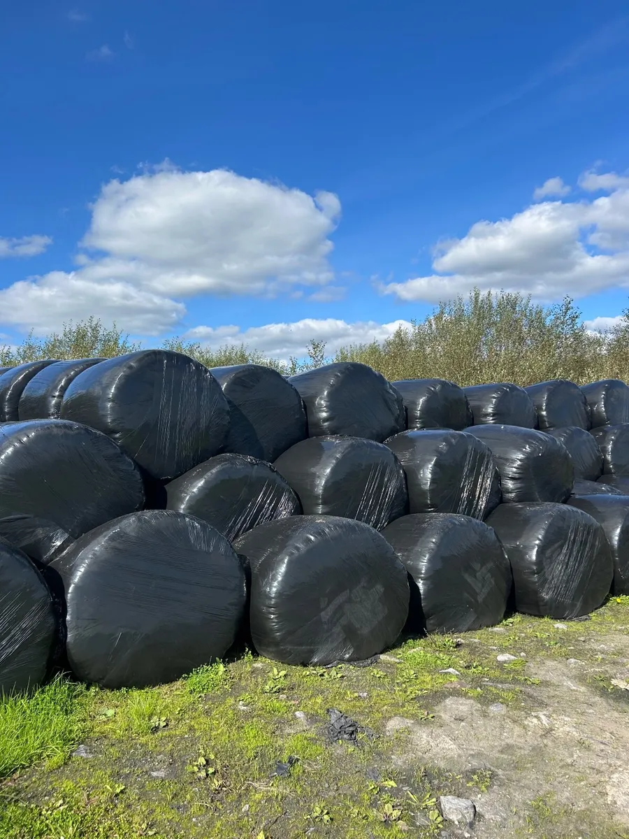 Silage bales, 2nd cut
