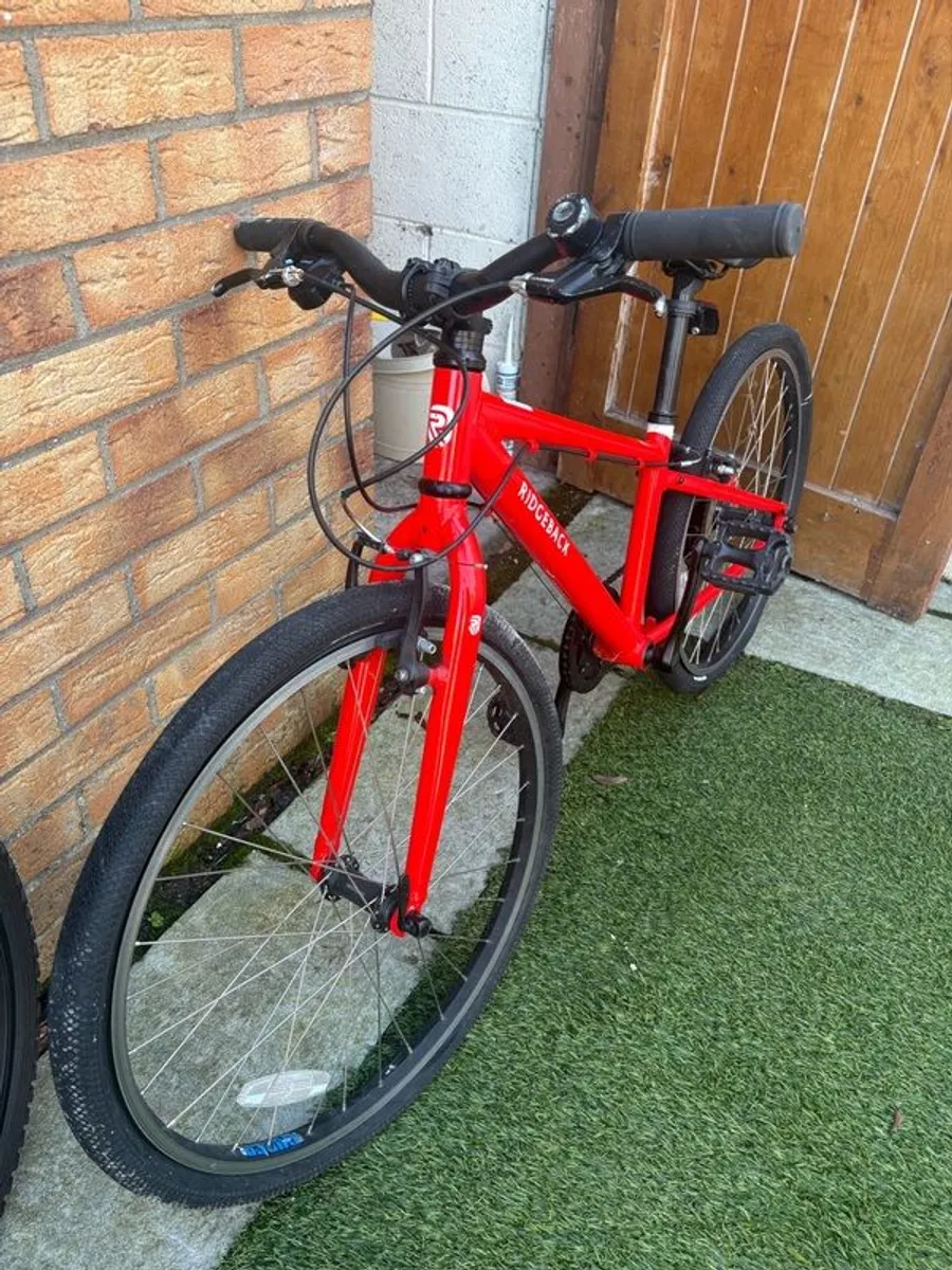 Ridgeway Mountain Bike - Image 1