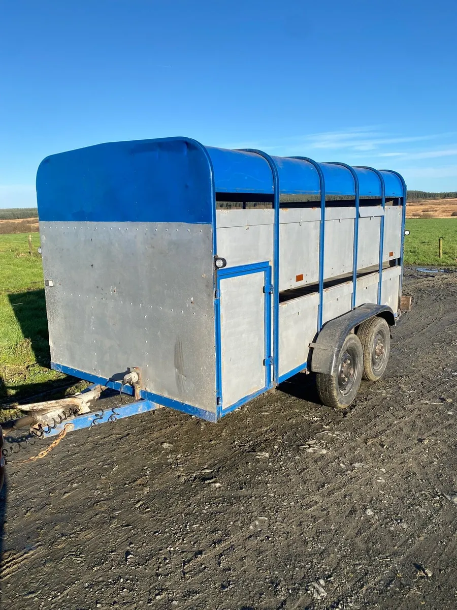 Cow box - Image 1