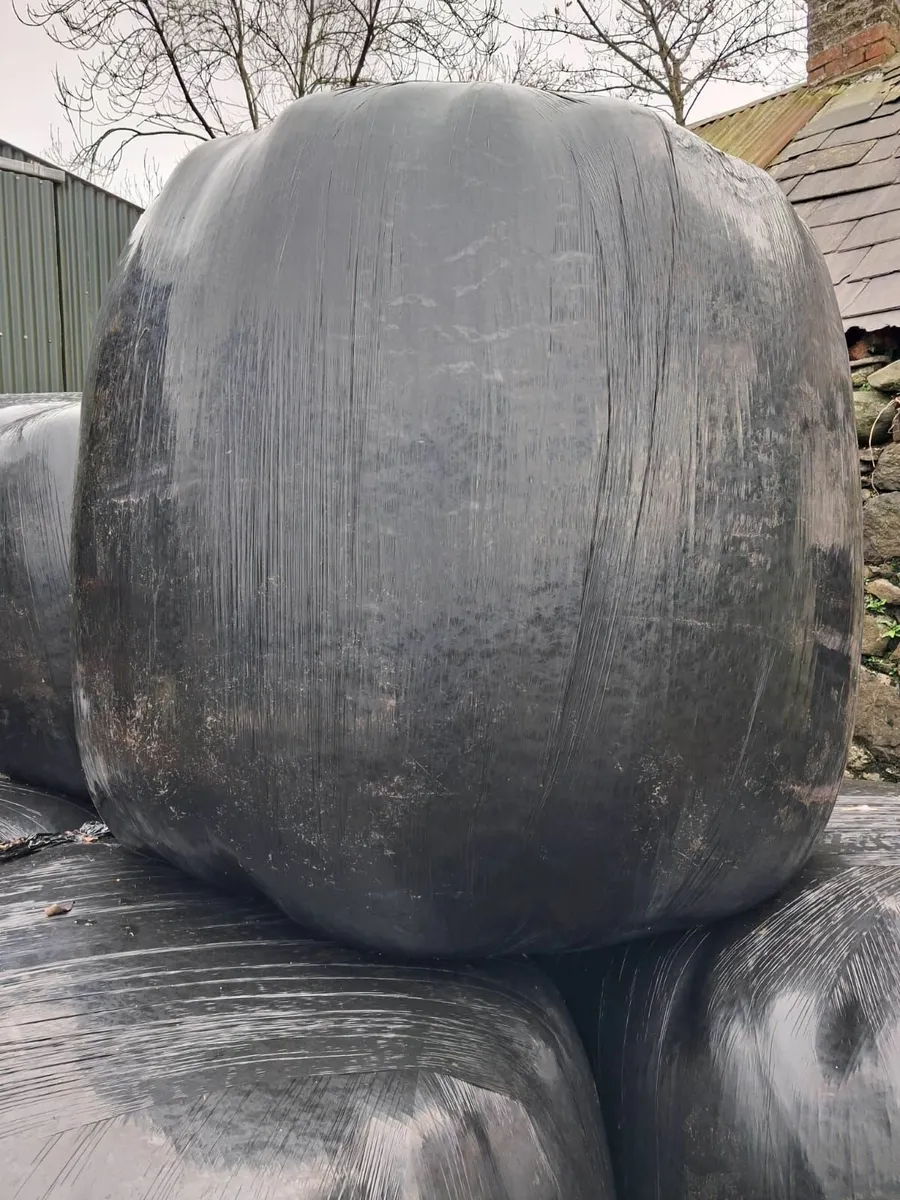 Haylage For Sale