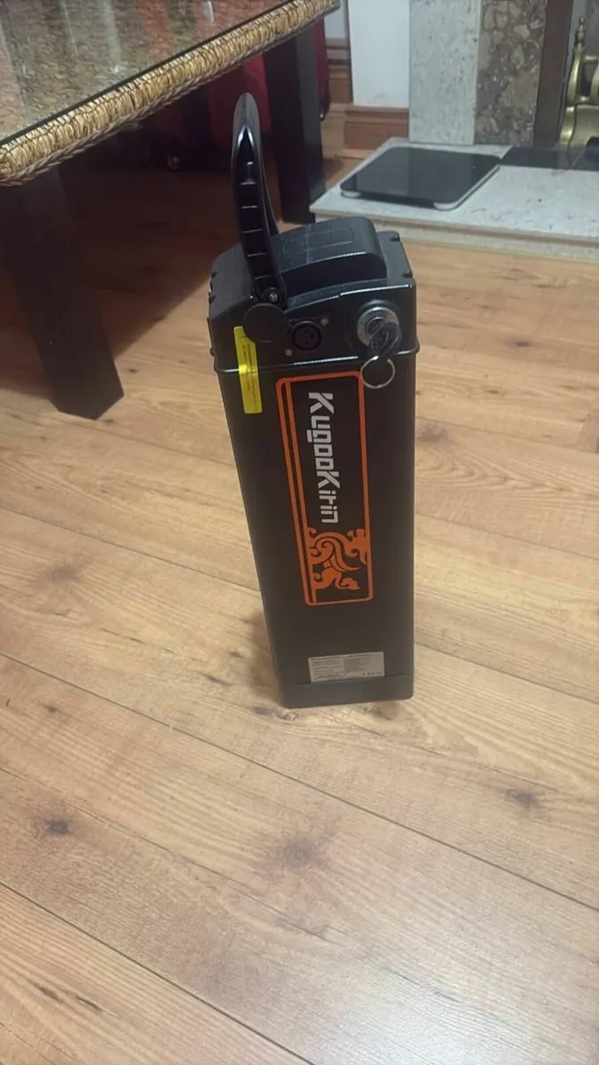 Electric Bike - Image 3