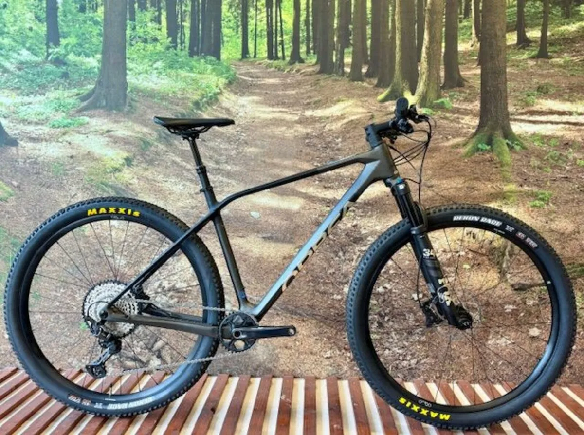 Orbea ALMA M20 29er MTB Bike - Image 1