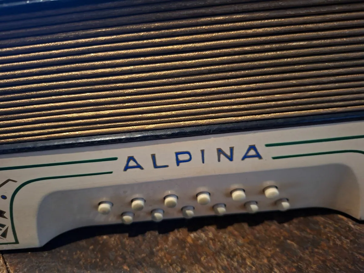 HOHNER ALPINA ACCORDIAN - Image 3