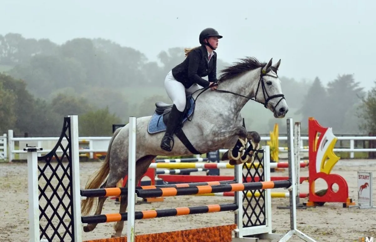 Beautiful 8yo grey mare - Image 3