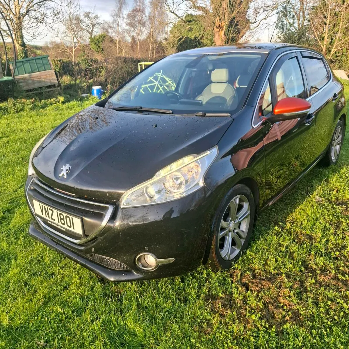 A Little Christmas Present - Image 1