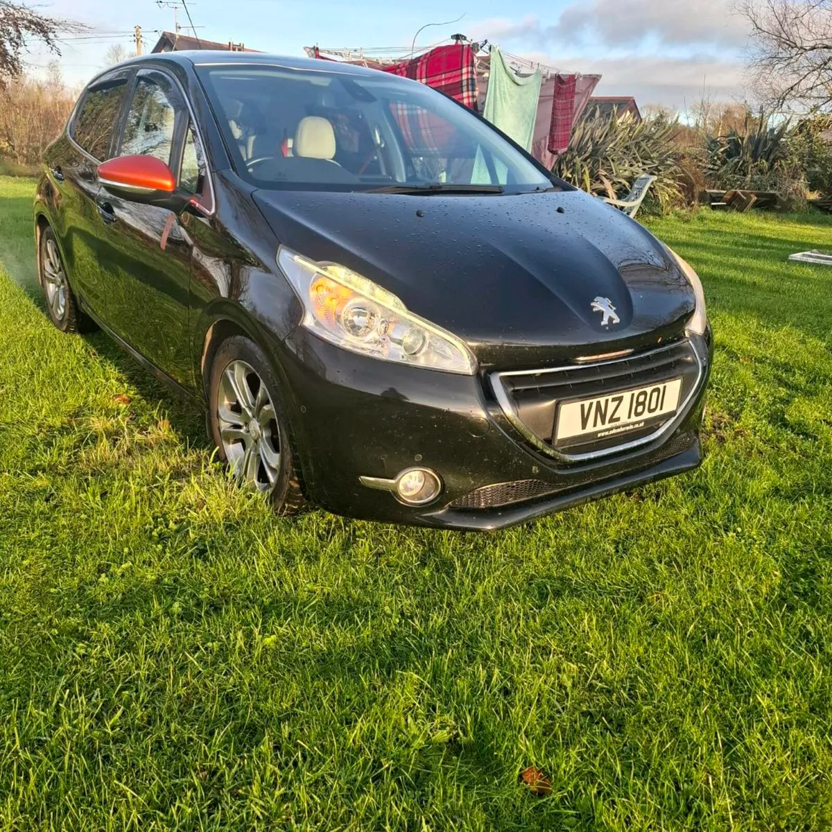 A Little Christmas Present - Image 2