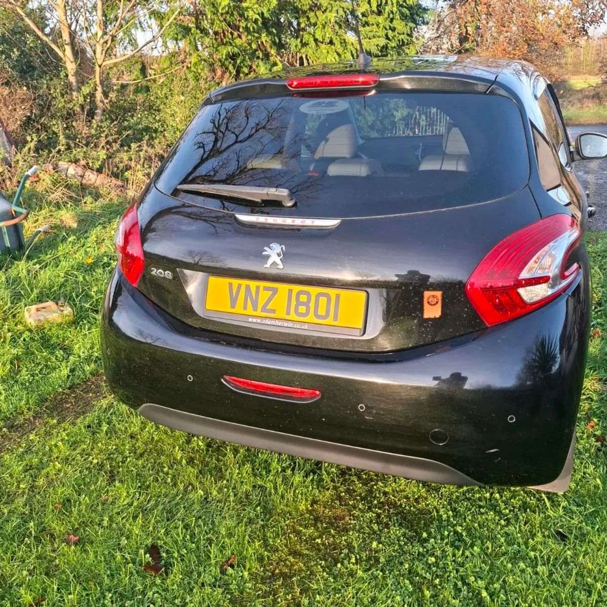 A Little Christmas Present - Image 3