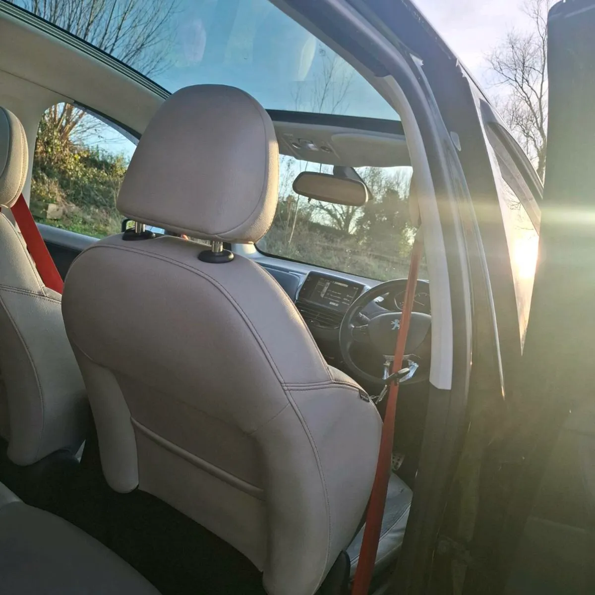 A Little Christmas Present - Image 4