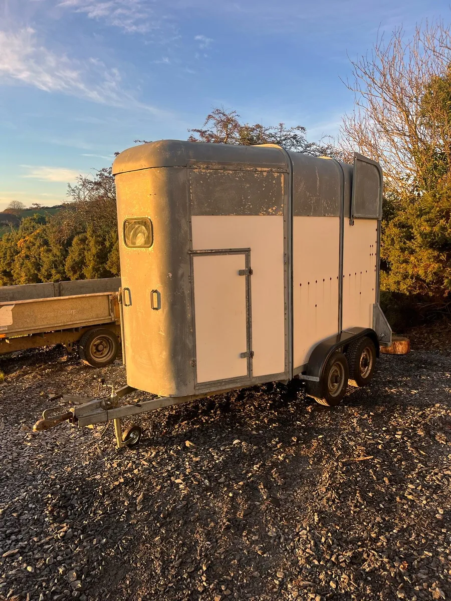 Ifor Williams 505 horse box - Image 1