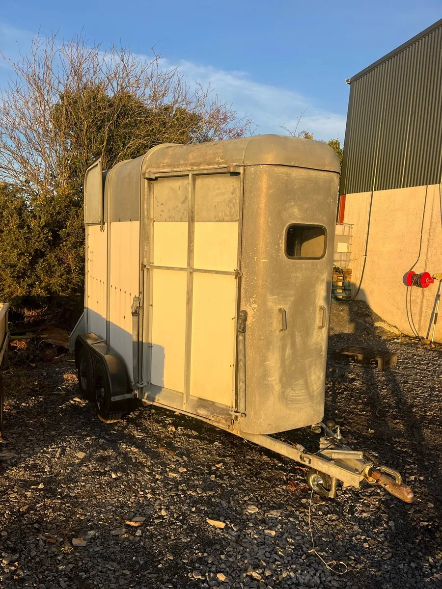Ifor Williams 505 horse box - Image 2