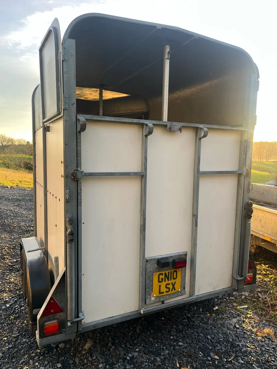 Ifor Williams 505 horse box - Image 3