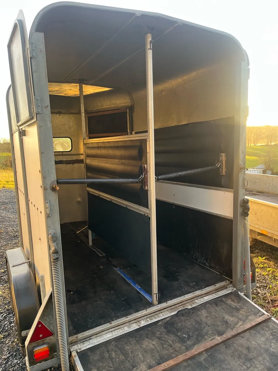 Ifor Williams 505 horse box - Image 4