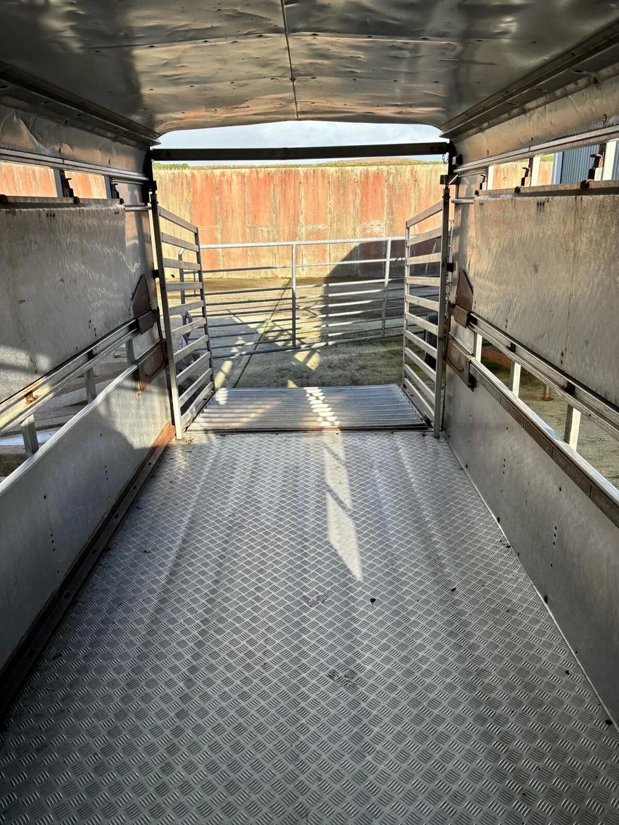 14 x6 ifor williams - Image 1