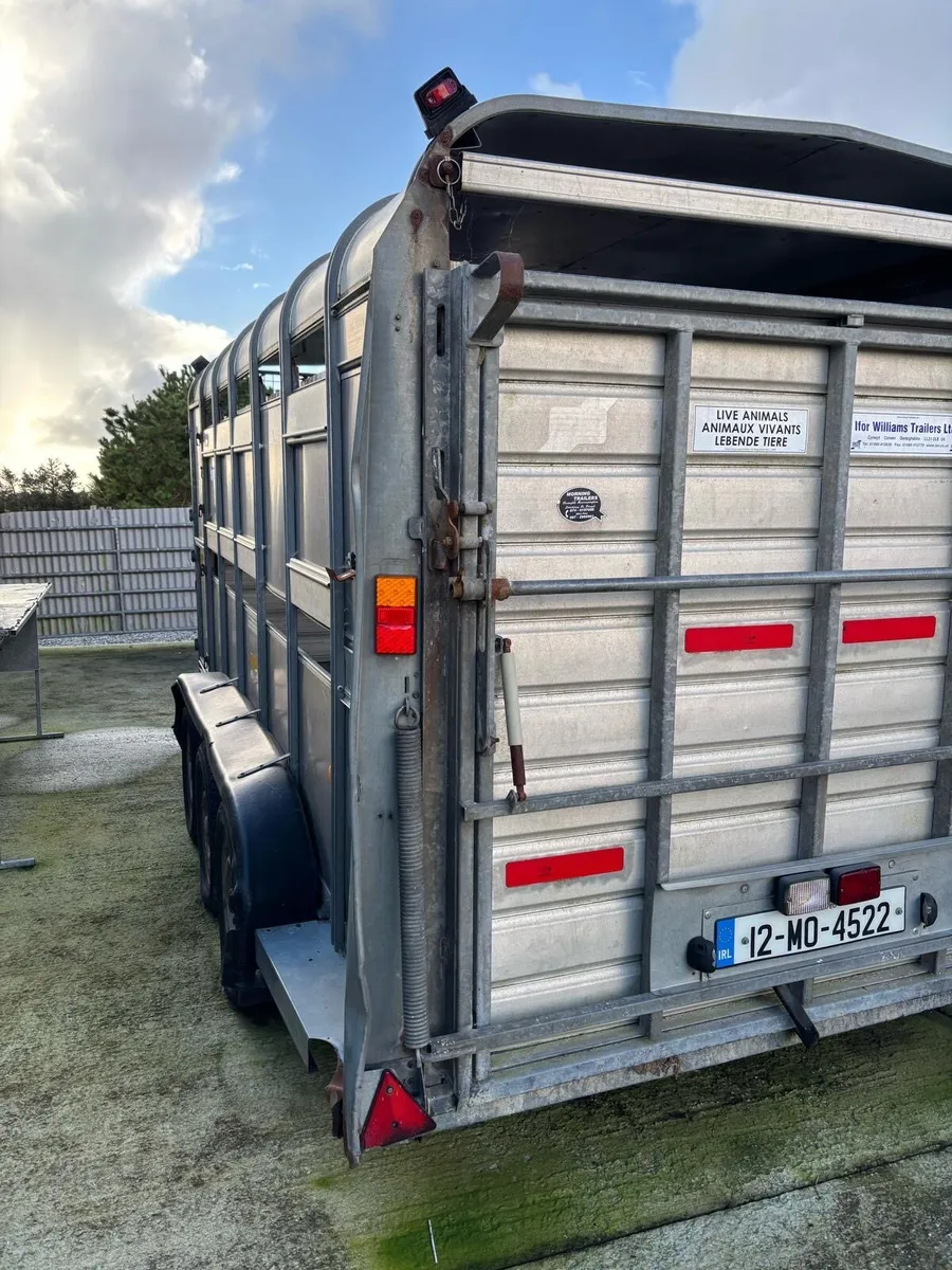 14 x6 ifor williams - Image 3