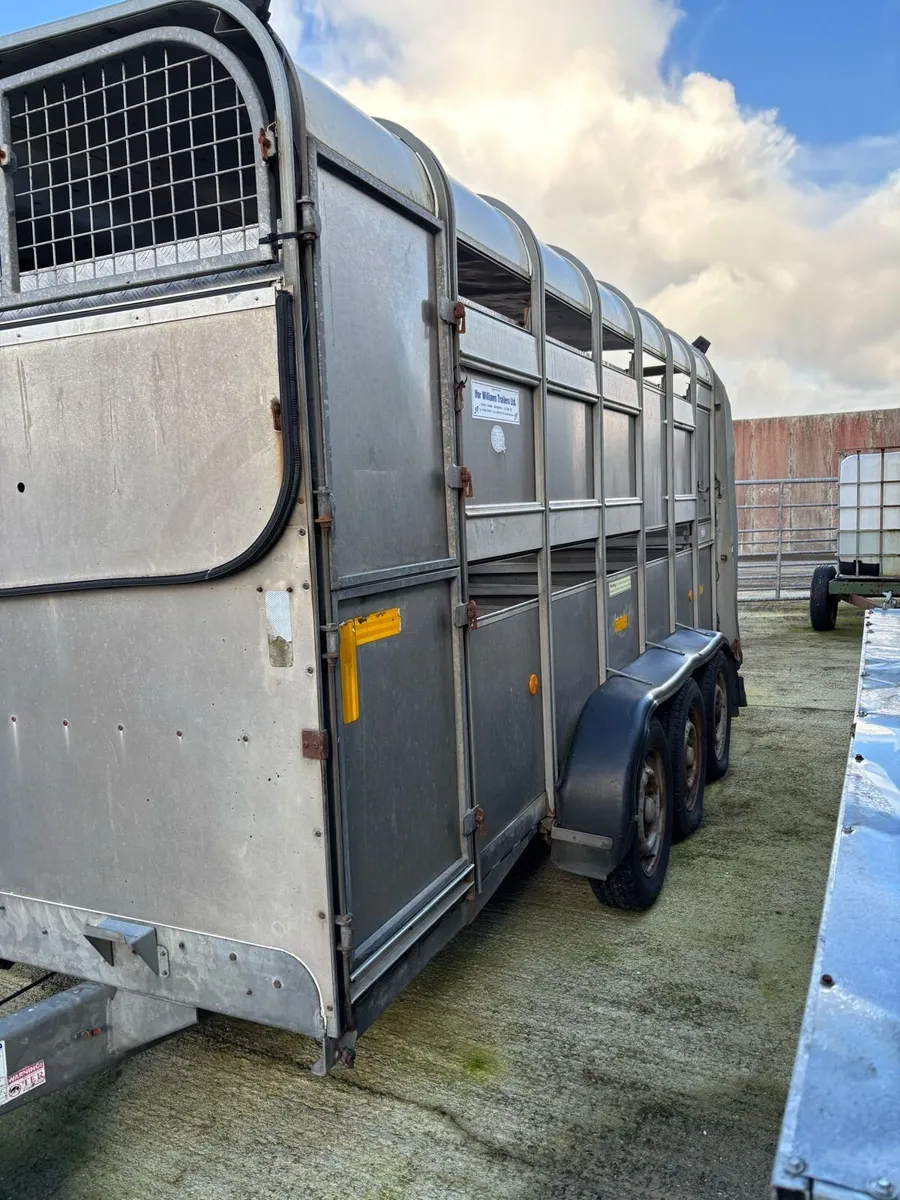 14 x6 ifor williams - Image 4