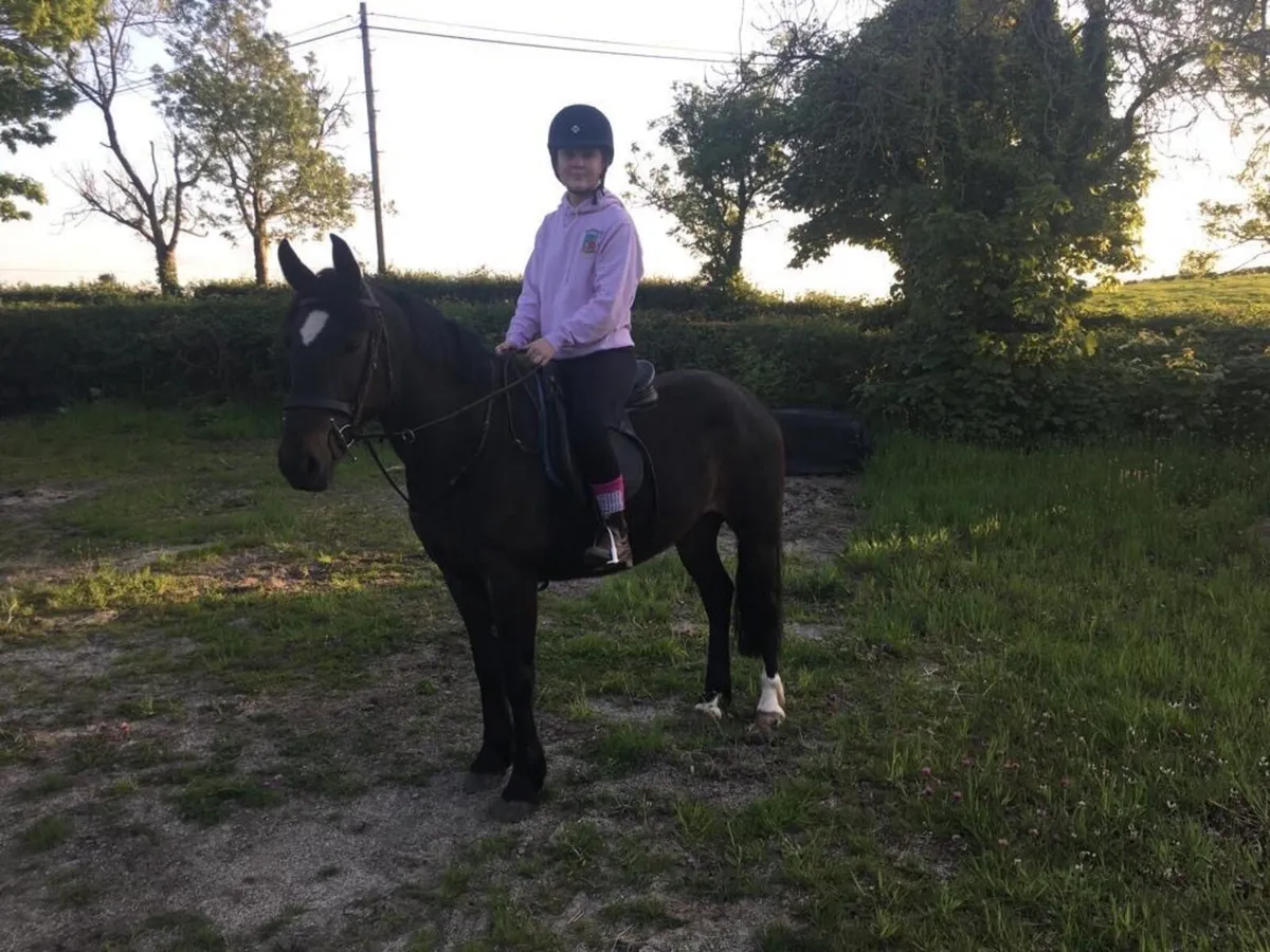 All rounder Pony - Image 3