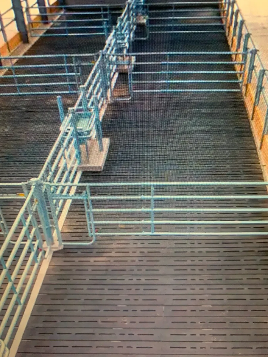 Christmas comfort gift. - Image 1