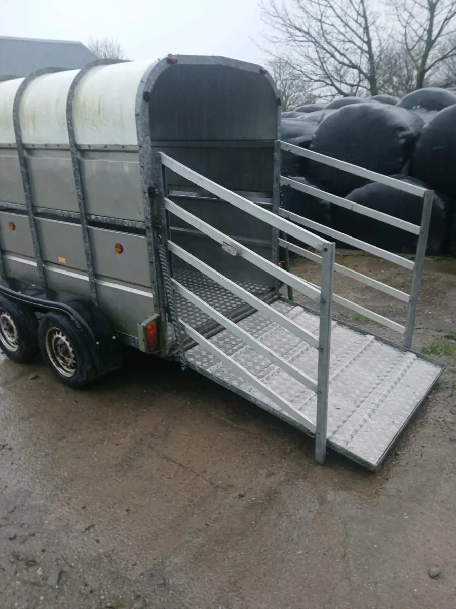 Murphy livestock trailer - Image 1