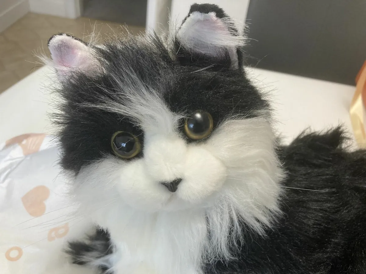 Handmade Realistic Stuffed Cat with sound effects - Image 1